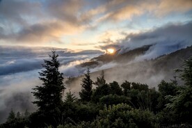唯美风景意境