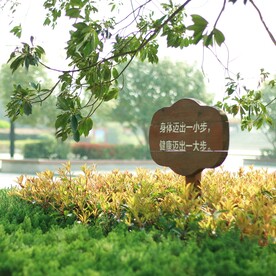 大树树木树林 