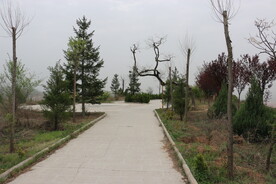 景观步道小路