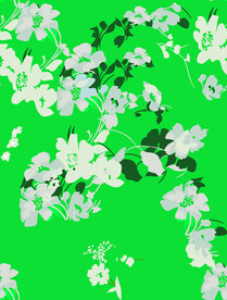 数码  设计 图案 