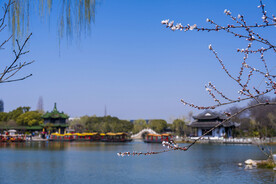 瘦西湖二十四桥美景