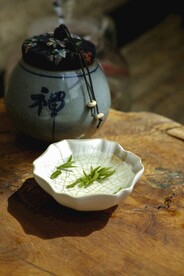 茶展摄影