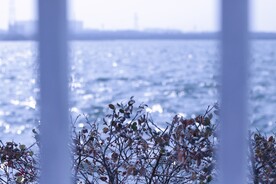 江边河滩江水 