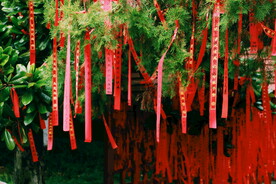 生活点滴素材 