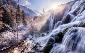 林中美景