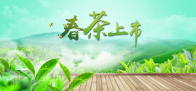春茶上市