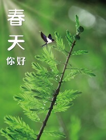春天你好