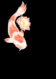  金鱼锦鲤手绘插画图片