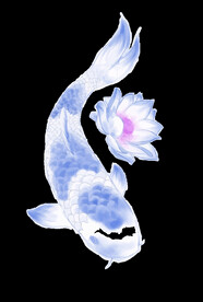  金鱼锦鲤手绘插画图片