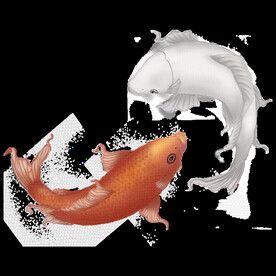 金鱼锦鲤手绘插画图片