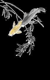  金鱼锦鲤手绘插画图片