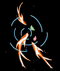 金鱼锦鲤手绘插画图片