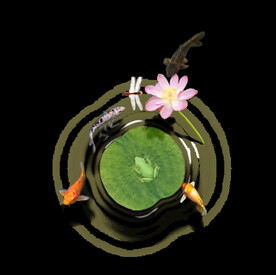  金鱼锦鲤手绘插画图片