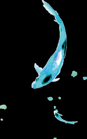 金鱼锦鲤手绘插画图片