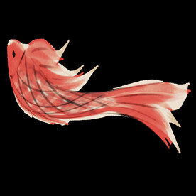 金鱼锦鲤手绘插画图片