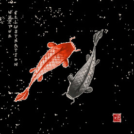 金鱼锦鲤手绘插画图片