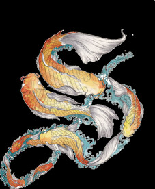  金鱼锦鲤手绘插画图片