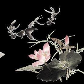  金鱼锦鲤手绘插画图片