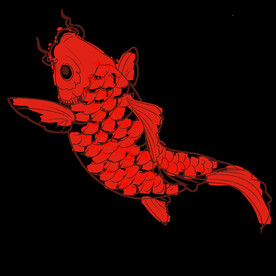 金鱼锦鲤手绘插画图片