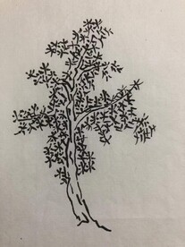手绘 梅