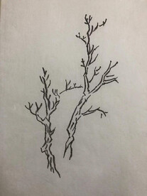 手绘 树