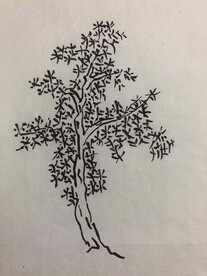 手绘 树