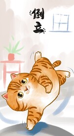 萌主猫            