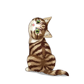 厉猫