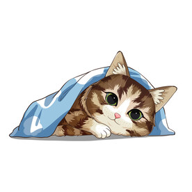 猫              
