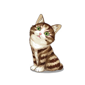 猫              