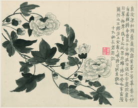 花鸟图 