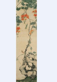 花卉  