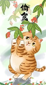 萌主猫            
