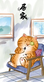 萌主猫            