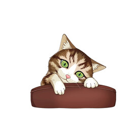 猫              