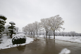 林场雪景
