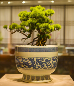 青花瓷花盆