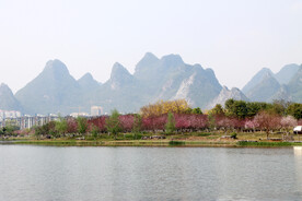 爱莲湖湿地公园