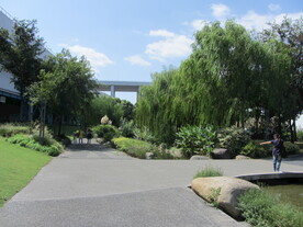 室外景观
