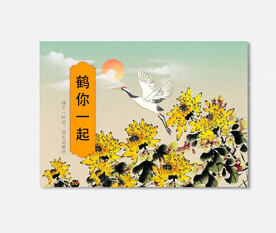 插画包装