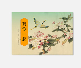 插画包装