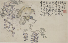 花鸟画  