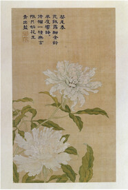 花卉册   
