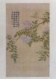 花鸟画 