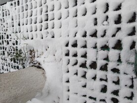  雪景