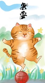 萌主猫            