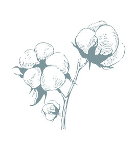 棉花