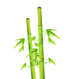 竹子