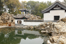 风景  中国风 青松 复古素材