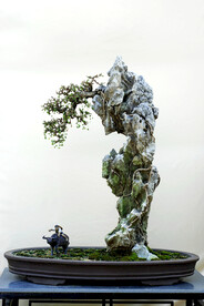 盘景